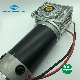 Nmrv050.90zyt Big Power 400W 500W DC Worm Gear Motor High Torque 40nm 50nm 60nm