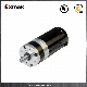 Low Speed 24VDC Power Window Motor with Planetary Gearbox