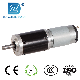  28mm DC Planetary Gear Motor Auto Parts of Printer