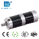  56mm BLDC Precision Planetary Gear Electric Motor