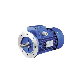 Low Noise AC High Speed Small Electric Motors with Reduction Gear manufacturer