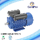  Yc Single Phase AC Small Electric Motor