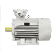 11kw 15kw 18.5kw 22kw 30kw 55kw 75kw 132kw 185kw 315kw Explosion Proof Variable Frequency Adjustable Speed Three Phase Electric Motors