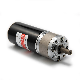 15W 20W 30W 43mm Planetary Gear DC Brushless Motor for Robot