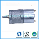  25mm Brush Gear Motor for Home Appliance Factory Price