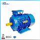 7.5kw 3 Phase Aluminum Ie2 AC Electric High Power Motor for Marine Ms Series