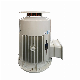  Hot Sale Frequency Variable Electric Motor
