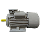 7.5HP 10HP Yc/Ycl Series Brushless Motor Single Phase 4 Pole Electric Motor AC Motor