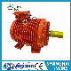 High Voltage Explosion Proof Motor