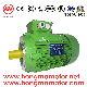  3kw 2pole Three Phase Ie2 Induction Motor (100L-2-3KW)