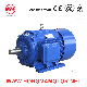  Cast Iron Housing Enclosed Type Asynchronous Induction Motor (445TS-4-150HP)