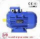  Ie2 High Efficiency Induction AC Motor with Aluminum Housing (90S-2-1.5KW)