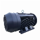 Ye3ye4ye5 Series Three Phase Electric Motor 50Hz 415V AC Induction Electrical Motor