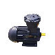  Factory Supply Three Phase Asynchronous Induction Motor Electric Ex Motor