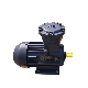 Factory Supply Three Phase Asynchronous Induction Motor Electric Ex Motor