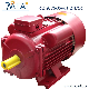  YL Series Single Phase Electric Motor