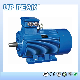 ISO9001 CCC Certified Good Quality Ie1 Ie2 Ie3 Le4 Asynchronous AC Electric Motors