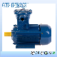  Good Quality Ybx3 Asynchronous Three Phase AC Electric Motors