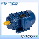  Ie3 Series AC Three Phase Asynchronous Electric Motor Industry Induction Electric Motor