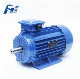  GOST Standard Small Size Three-Phase Motor