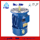  Ys (AO2) Premium High Efficiency Three Phase Induction AC Electric Asynchronous Motor Good Offer
