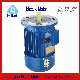 Ys (AO2) Premium High Efficiency Three Phase Induction AC Electric Asynchronous Motor Good Offer