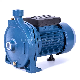 Hot Selling Cpm146 220V Agricultural 0.55kw 0.75HP High Pressure Centrifugal Water Pump