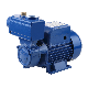  Sanhe Manufacturer TPS Series Single-Stage 220V 60Hz Peripheral Self-Suction Electric Clean Water Pump for Supply Water