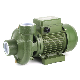  Sanhe Factory Price S200 Series 2inch High Flow Centrifugal Pump for Farm Irrigation with Brass Impeller