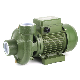 Sanhe Factory Price S200 Series 2inch High Flow Centrifugal Pump for Farm Irrigation with Brass Impeller