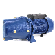 Jet100A Jet Water Pump for Clean Water with CE Certificate Centrifugal Pump