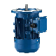 China Manufacturer Three-Phase Electric AC Asynchronous Induction Motor manufacturer