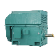  6kv/10kv Ykk Series 3-Phase High-Voltage Air-Air Cooling Motor