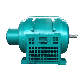 Jr Series Wound Rotor Slip Ring Motor Ball Mill Motor 380kw