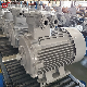 Heavy Duty Electric Motors for Crusher Ye3/Ie3/Ie4 -160, 7.5 Kw -11 Kw Copper Three-Phase Asynchronous Motors for Petrochemical Equipment