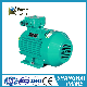 YFB2 Series Dust Explosion Proof Three Phase Asynchronous Motors (H: 80-355mm)