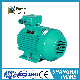  YFB2 Series Dust Explosion Proof Three Phase Asynchronous Motors (H: 80-355mm)