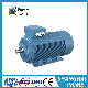  Y2 Series Low Voltage High Power Three Phase Asynchronous Motors (H: 355-560mm)