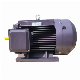  50Hz 380V Induction AC Electric Motor Hot Sale 3phase Electrical Motor