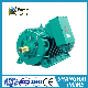  Ybbp 500-4 Series Variable Frequency Explosion Proof Asynchronous Motors (H: 80-355mm)