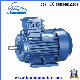 Y2 Series Three Phase Motor, Electric Motor, Low Rpm AC Electric Motor with Ce manufacturer