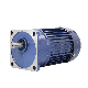 Three-Phase Asynchronous Motor with Factory Price Gear Box for AC DC Motor