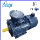 Ybbp Series Three-Phase Asynchronous Motor Explosion-Proof Variable Frequency Motor manufacturer
