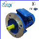 Ys Series Aluminum Shell Three-Phase Asynchronous Motor Ys80m2-4 manufacturer