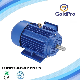 Ie3-Ye3 Premium High Efficiency Three Phase Induction AC Electric Asynchronous Motor