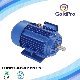 Ie3-Ye3 Premium High Efficiency Three Phase Induction AC Electric Asynchronous Motor