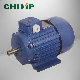  2 Pole Ys Series Three-Phase Induction Motor