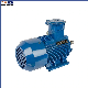 High Precison Explosion-Proof Three-Phase Squirrel-Cage Asynchronous Motor for Oil & Gas Feild