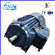 Yvf2 Series Three-Phase Asynchronous Motor Directly Sold by The Manufacture Yvf2-280m-2 manufacturer
