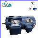 Yvf2 Series Three-Phase Asynchronous Motor Directly Sold by The Manufacture Yvf2-200L-4 manufacturer